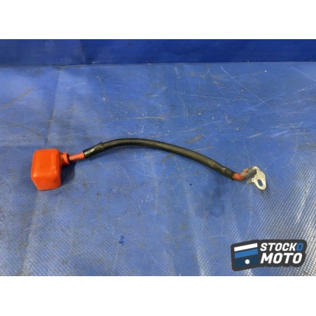 Cable de charge de batterie 
