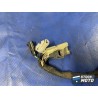 Faisceau électrique principale 