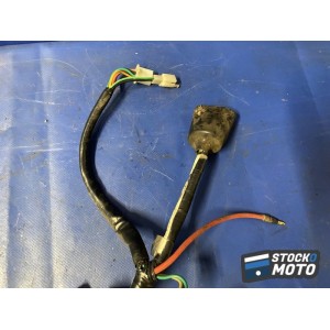 Faisceau électrique principale 