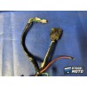 Faisceau électrique principale 