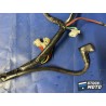 Faisceau électrique principale 