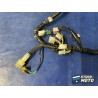 Faisceau électrique principale 