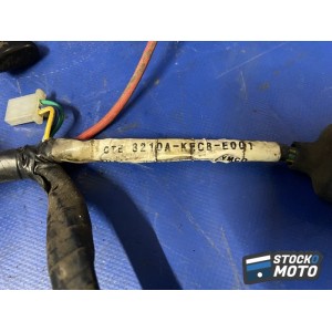 Faisceau électrique principale 