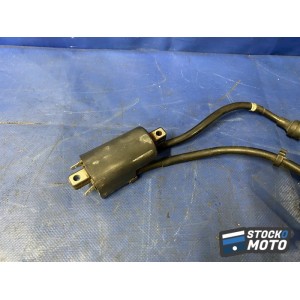 Bobine d'allumage 1-4 