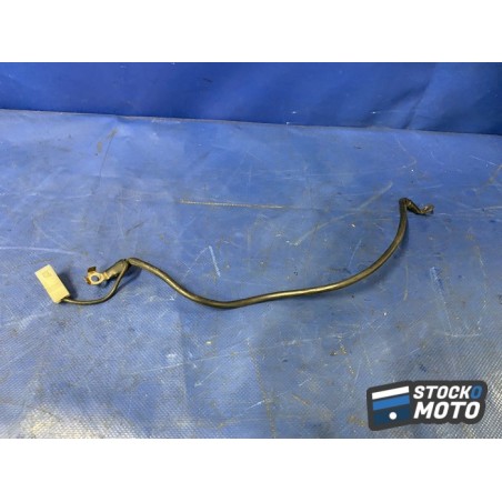 Cable de masse 
