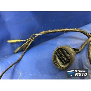 Faisceau électrique avant 