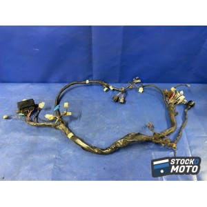 Faisceau électrique principale 