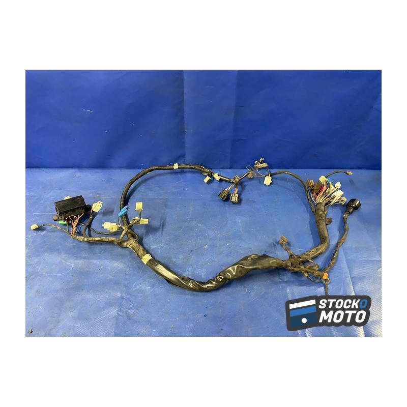 Faisceau électrique principale 