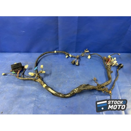 Faisceau électrique principale 