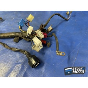 Faisceau électrique principale 