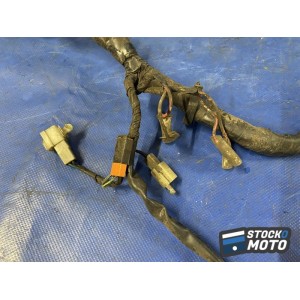 Faisceau électrique principale 