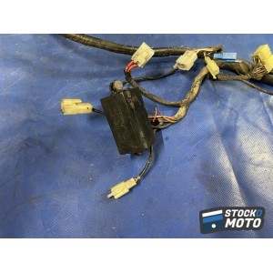 Faisceau électrique principale 