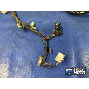 Faisceau électrique principale 