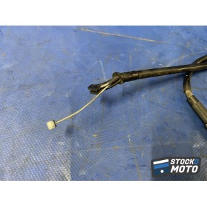 Cable de starter 
