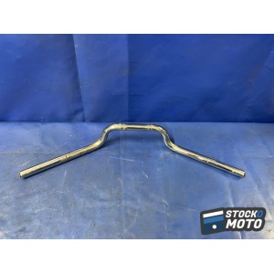 Guidon 