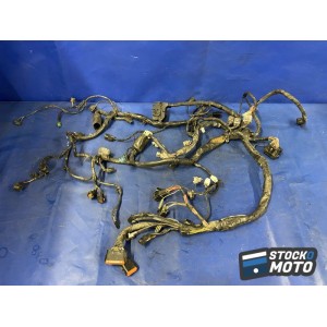 Faisceau électrique principale 