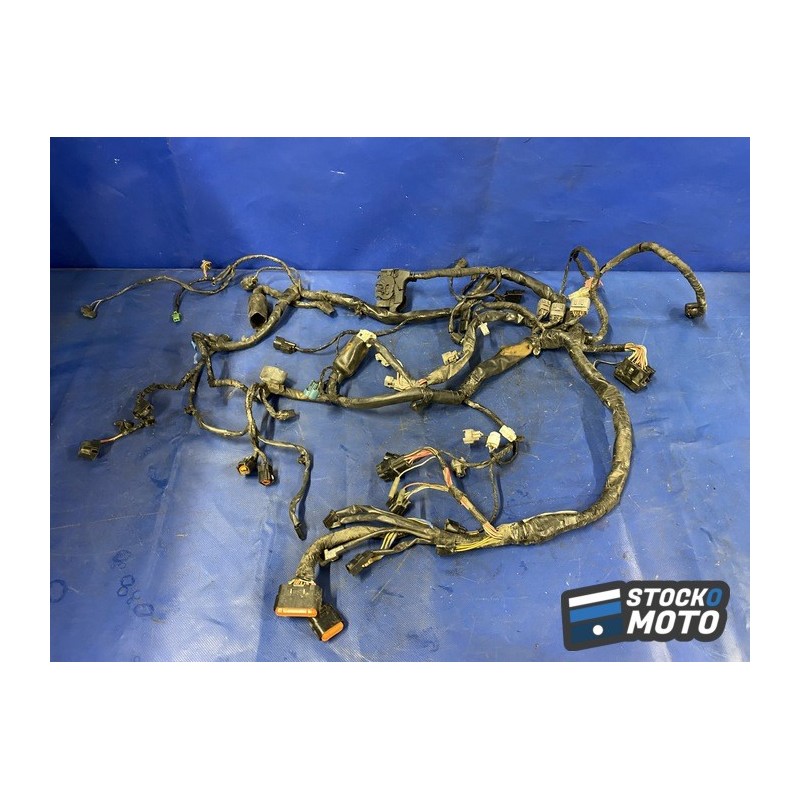 Faisceau électrique principale 