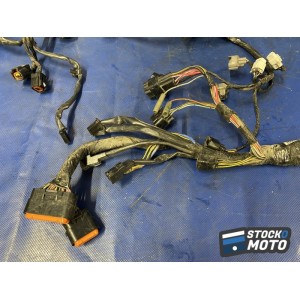 Faisceau électrique principale 