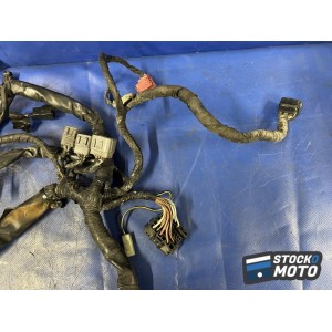 Faisceau électrique principale 