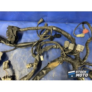 Faisceau électrique principale 