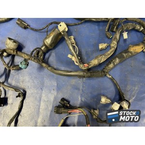 Faisceau électrique principale 