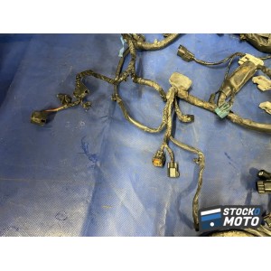 Faisceau électrique principale 