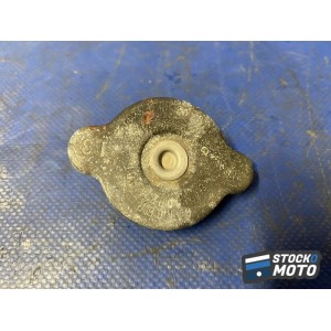 Bouchon de radiateur 