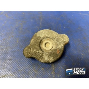 Bouchon de radiateur 