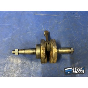 Vilebrequin avec bielles 