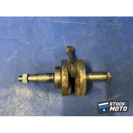 Vilebrequin avec bielles 