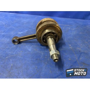 Vilebrequin avec bielles 