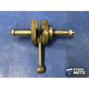 Vilebrequin avec bielles 