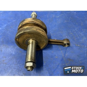 Vilebrequin avec bielles 