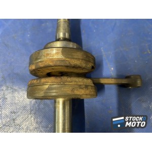 Vilebrequin avec bielles 