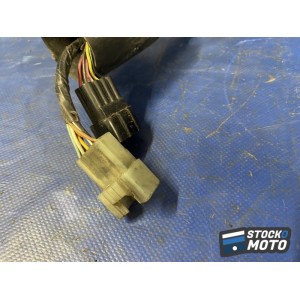 Faisceau électrique avant 