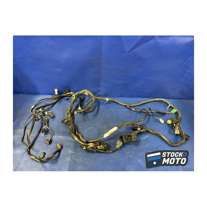 Faisceau électrique principale 