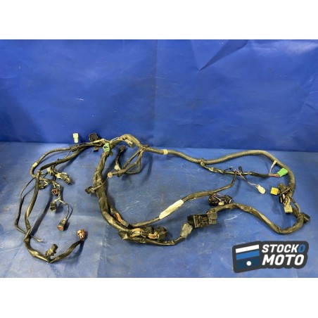 Faisceau électrique principale 