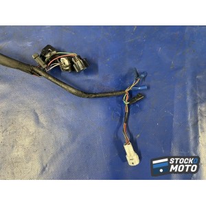 Faisceau électrique principale 