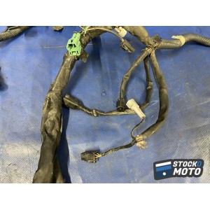 Faisceau électrique principale 