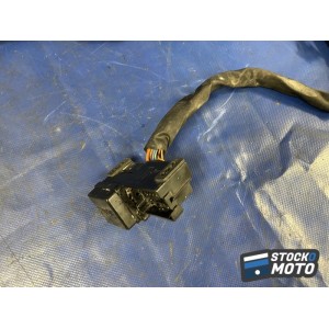 Faisceau électrique principale 