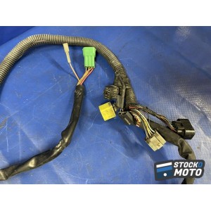 Faisceau électrique principale 