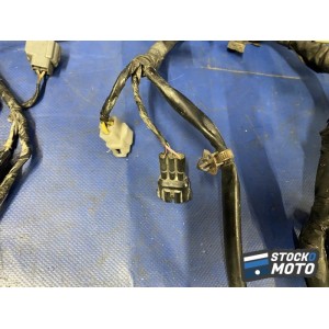 Faisceau électrique principale 