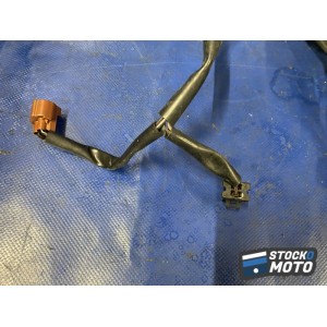 Faisceau électrique principale 