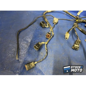 Faisceau électrique principale 