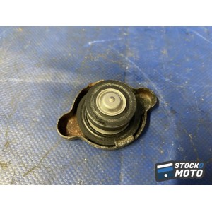 Bouchon de radiateur 