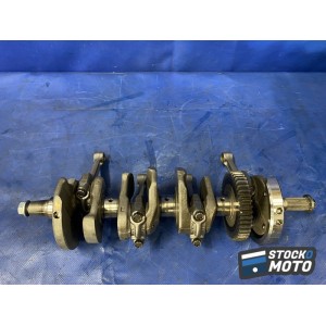 Vilebrequin avec bielles 