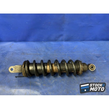 Amortisseur arrière 