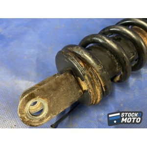 Amortisseur arrière 