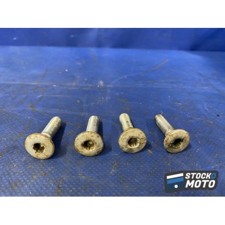 Vis de disque de frein arriere 