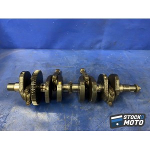 Vilebrequin avec bielles 